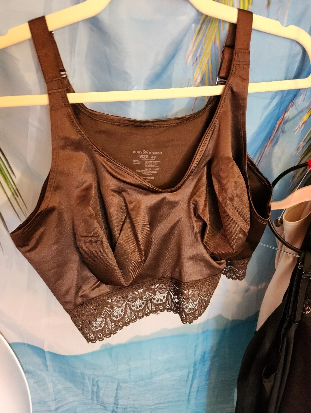 🆕️New Size 48 Ruby Ribbon Lace Lux Demiette Espresso